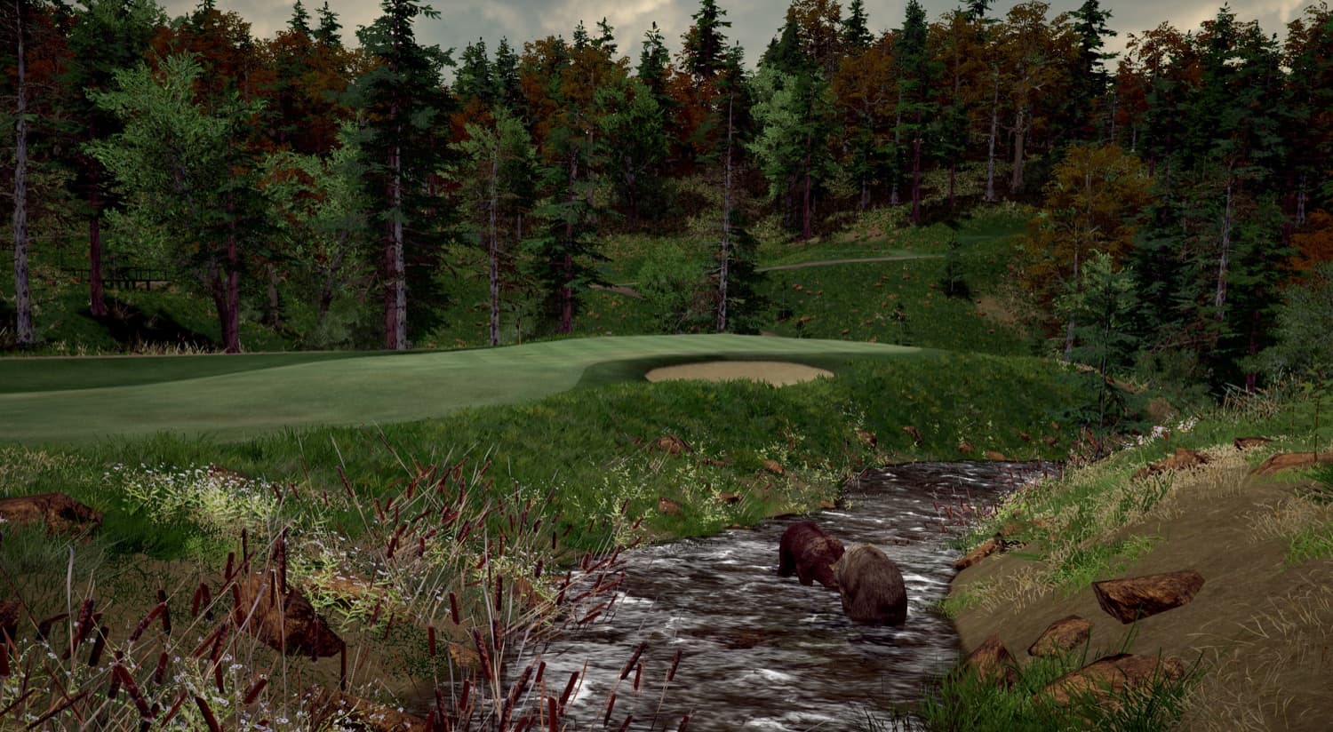 Grizzly Point - Image 2