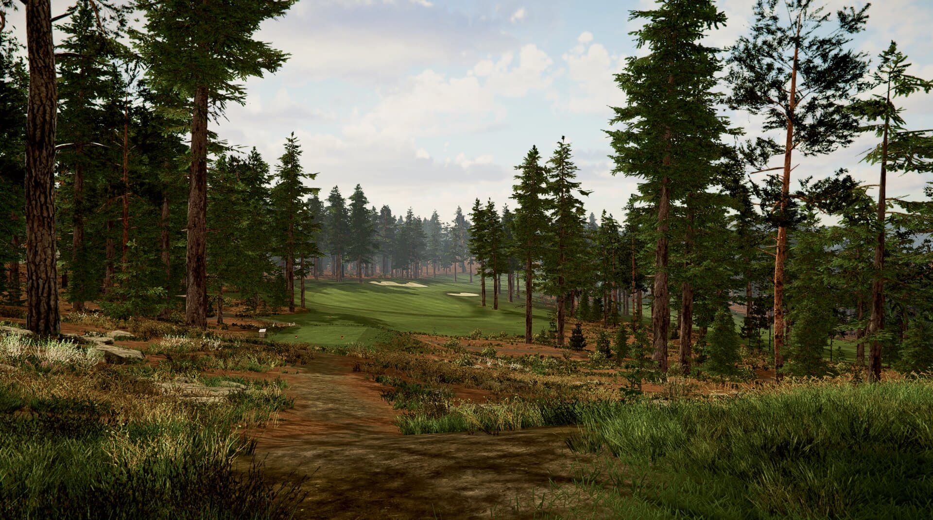 TBC Truckee - Image 6