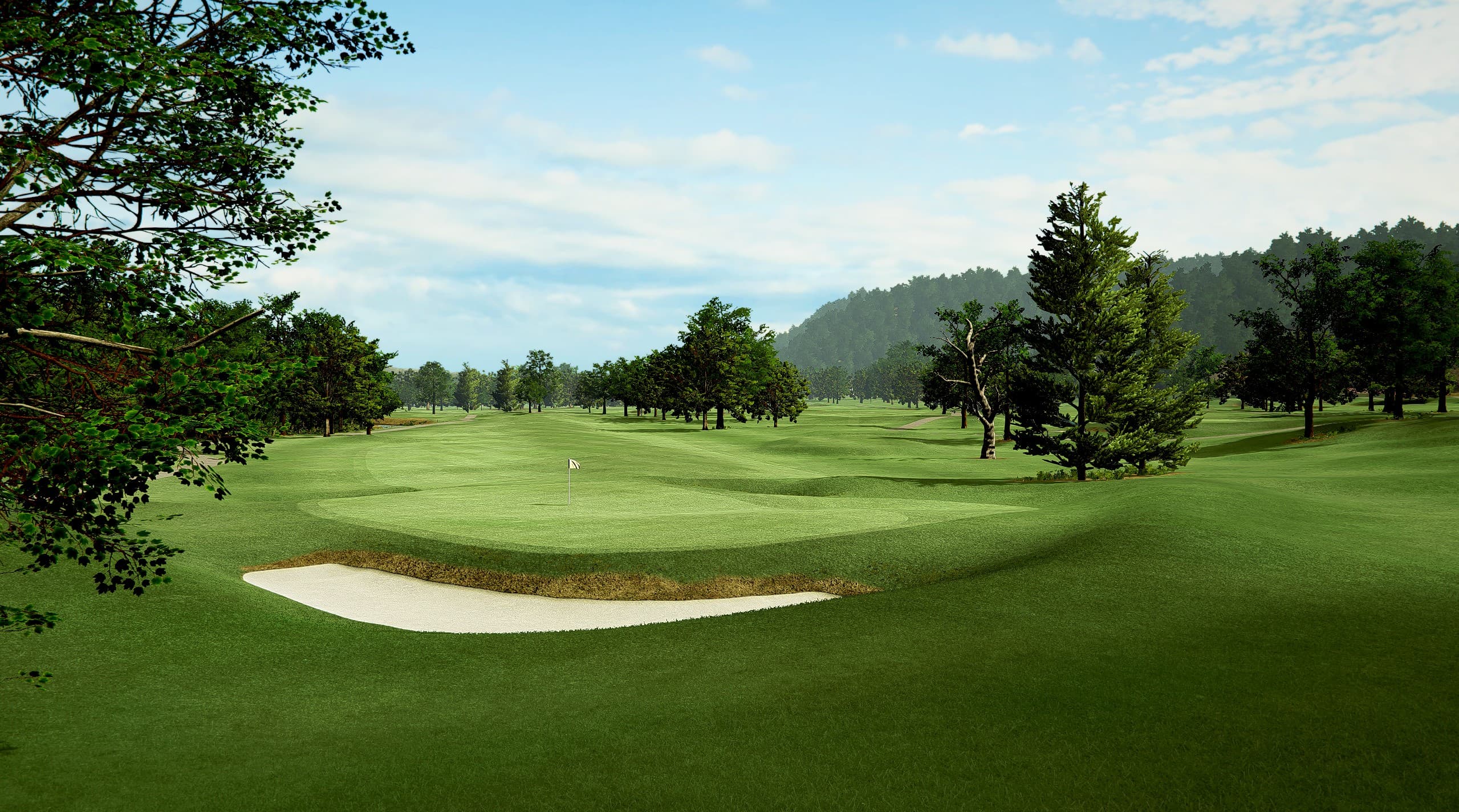 TBC White Sulphur - Image 2