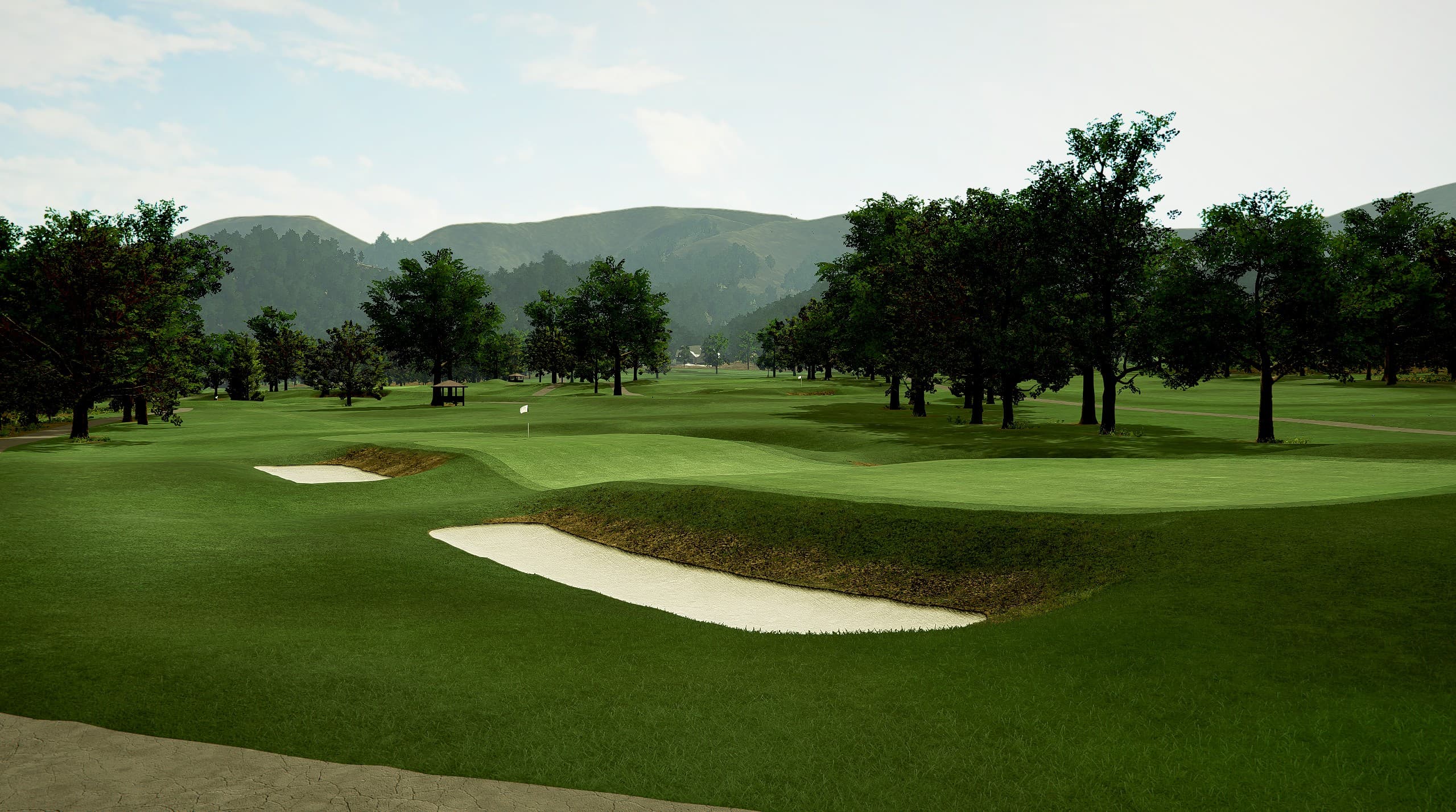 TBC White Sulphur - Image 3