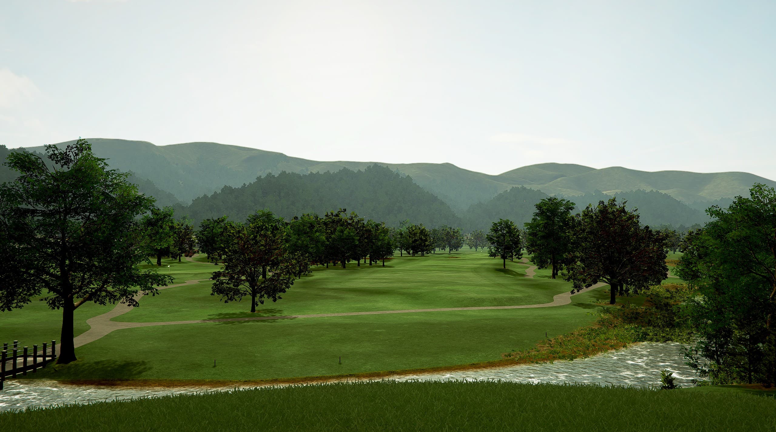 TBC White Sulphur - Image 4