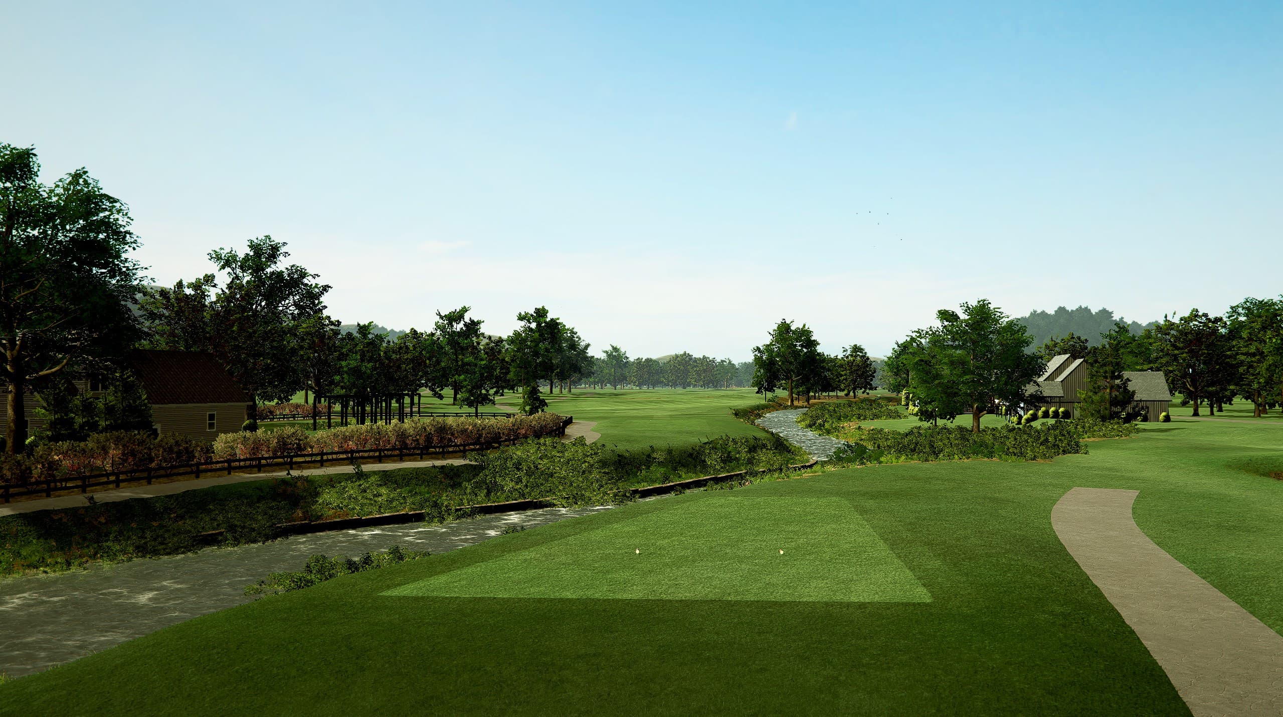 TBC White Sulphur - Image 6