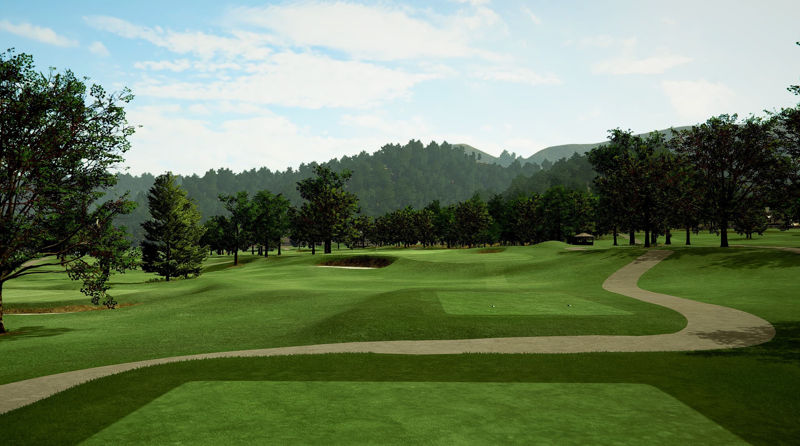 TBC White Sulphur - Image 7