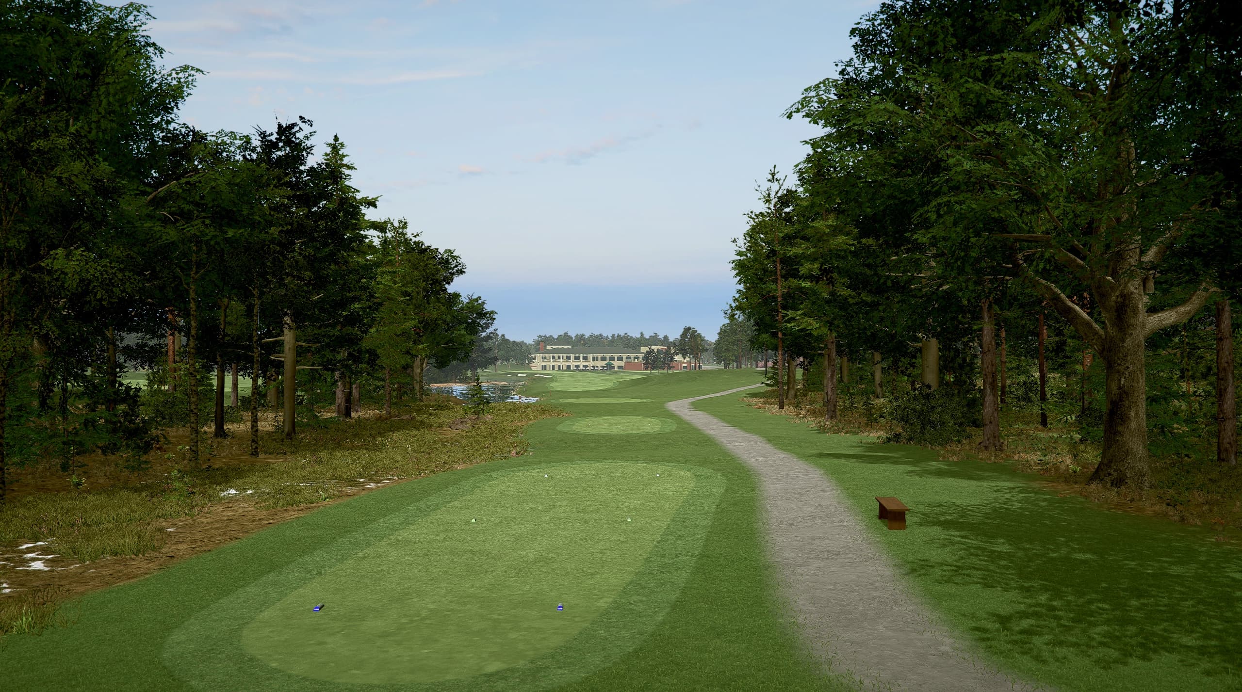 TBC Woodlands - Image 5