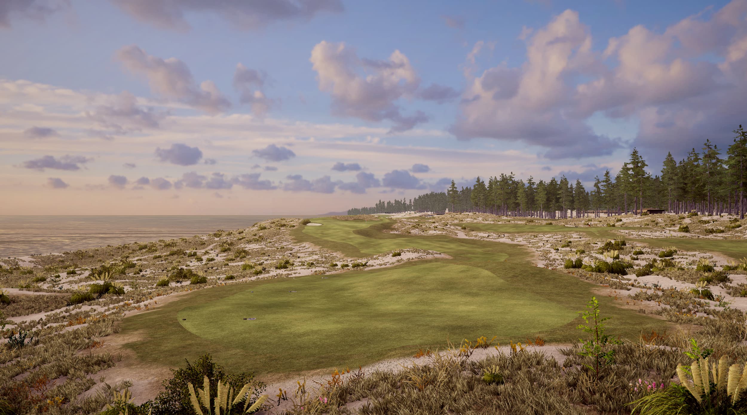 Te Arai South - Image 5