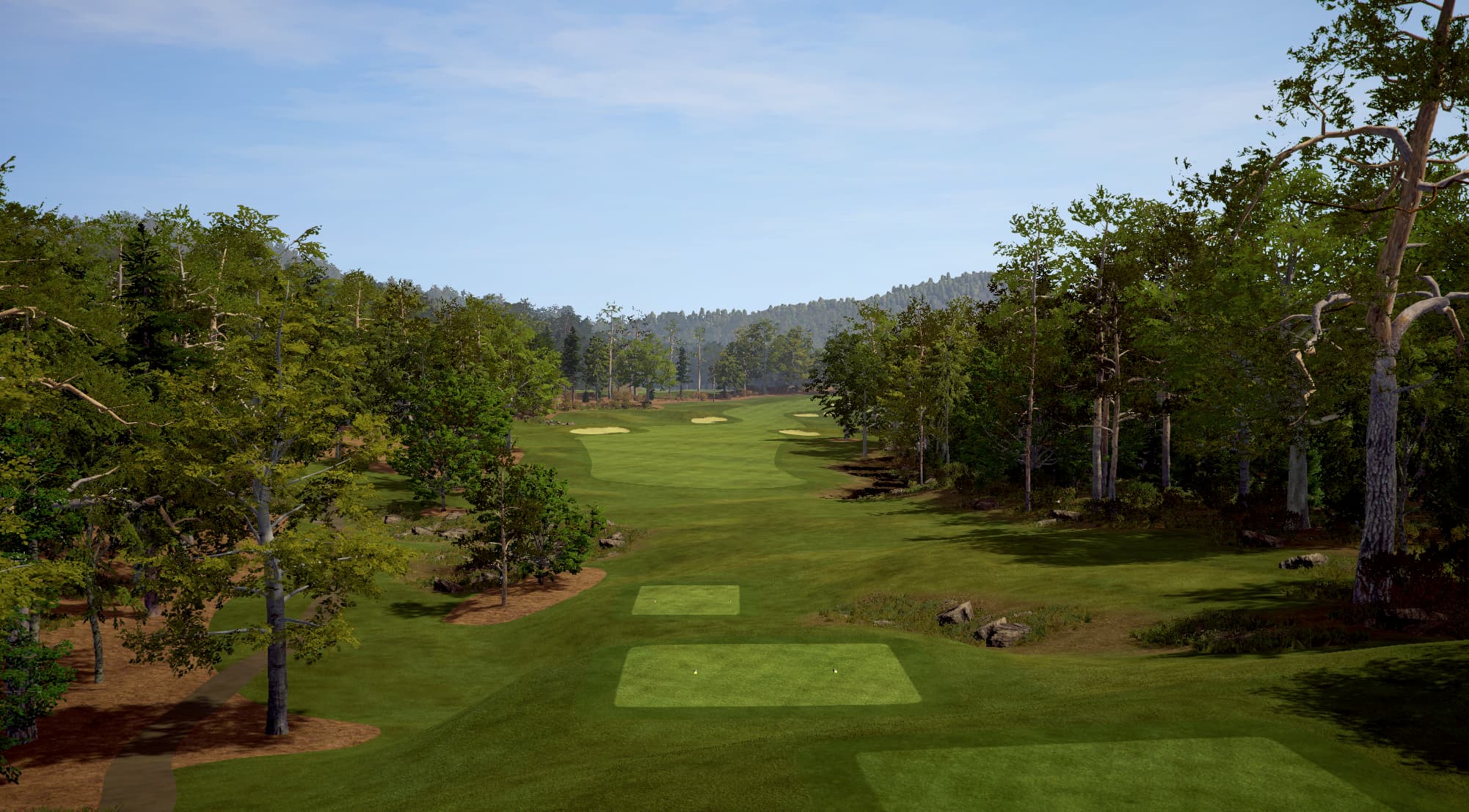 Wade Hampton - Image 2