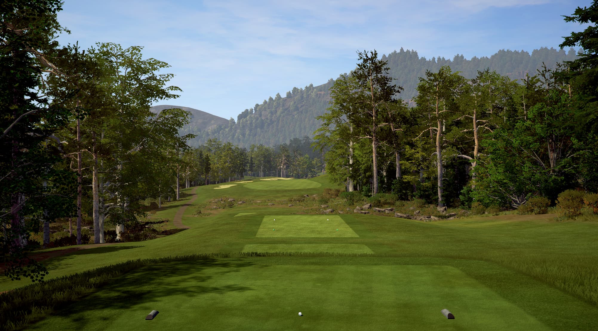 Wade Hampton - Image 4