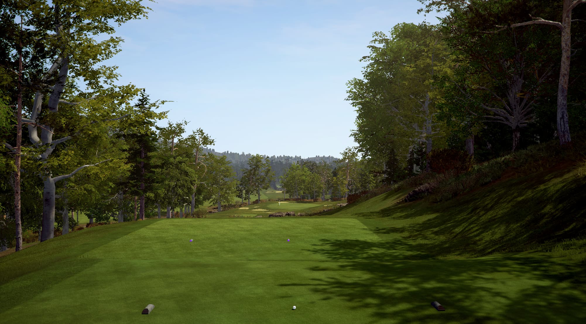 Wade Hampton - Image 5