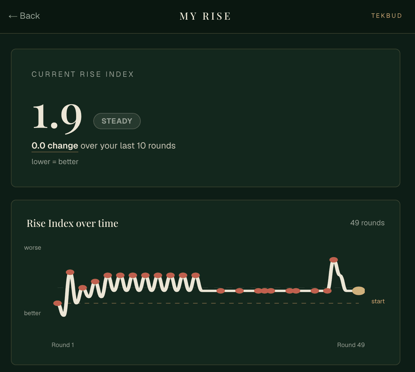 The My RISE page showing the current Rise Index and a chart of it trending over 49 rounds.
