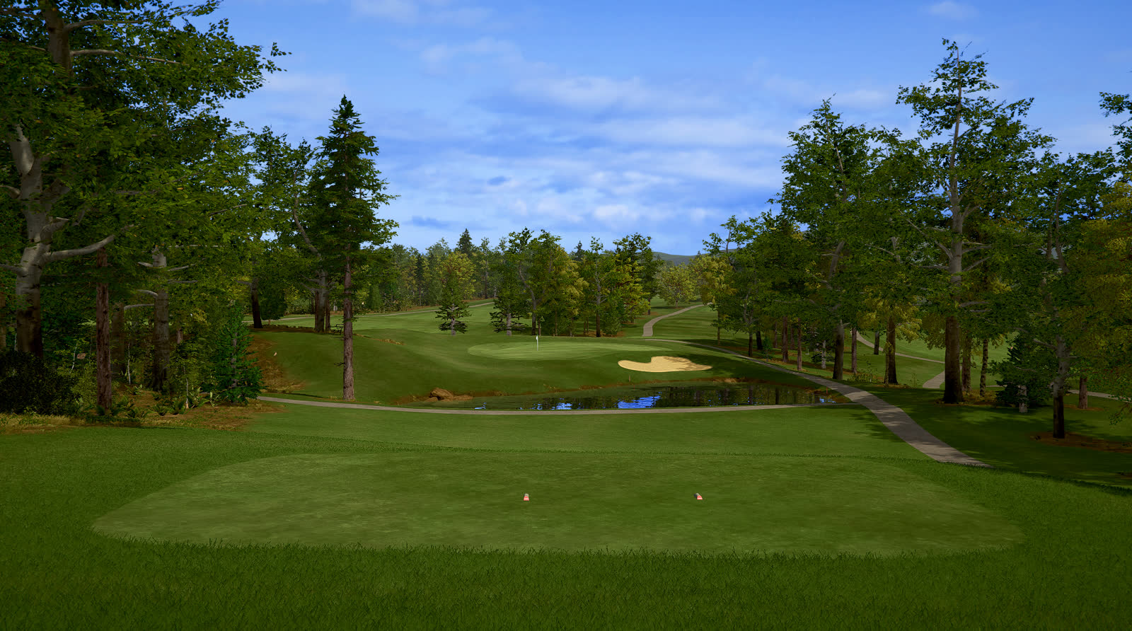 The par 3 over the pond